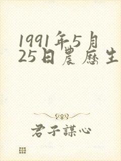1991年5月25日农历生辰五行