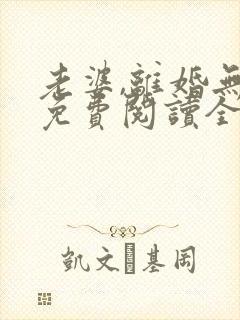 老婆,离婚无效免费阅读全文