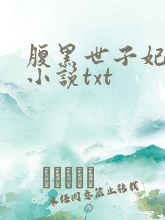 腹黑世子妃日常小说txt