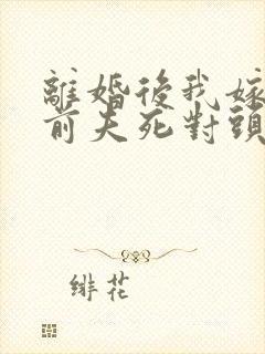 离婚后我嫁给了前夫死对头电子版