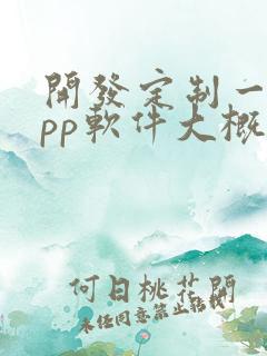 开发定制一个app软件大概多少钱