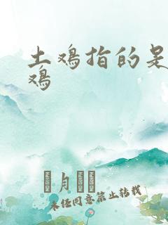 土鸡指的是什么鸡