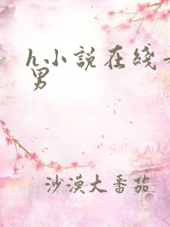 h小说在线看男男