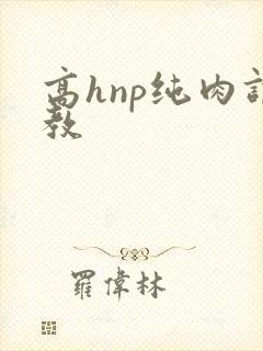 高hnp纯肉调教
