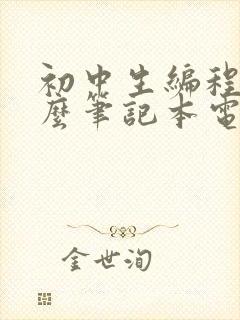 初中生编程用什么笔记本电脑