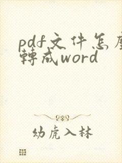 pdf文件怎么转成word