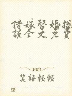 错嫁替婚总裁小说全文免费阅读