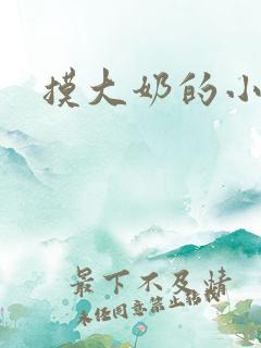 摸大奶的小说