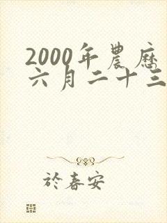 2000年农历六月二十三的生辰八字