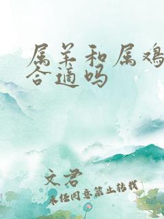 属羊和属鸡婚配合适吗