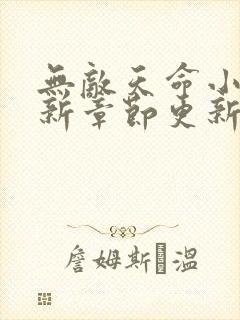 无敌天命小说最新章节更新