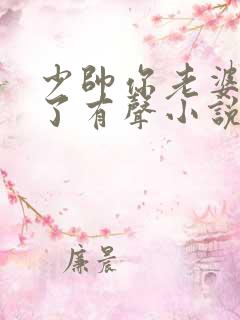 少帅你老婆又跑了有声小说完整