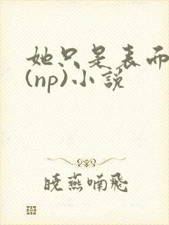 她只是表面清纯(np)小说