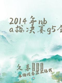 2014年nba总决赛g5全场回放