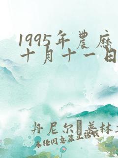 1995年农历十月十一日出生命运如何