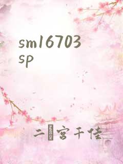 sm16703sp