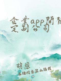 企业app开发定制公司