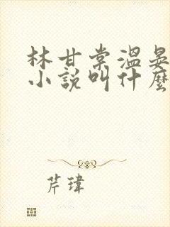 林甘棠温晏清的小说叫什么名字