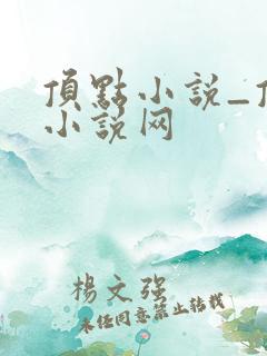 顶点小说_顶点小说网