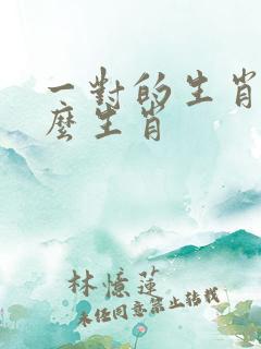 一对的生肖指什么生肖