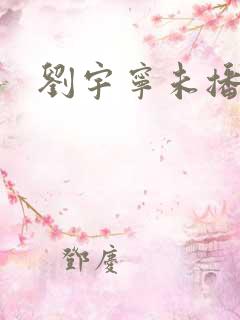 刘宇宁未播剧