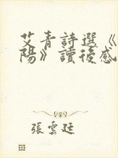 艾青诗选《向太阳》读后感