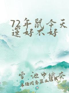 72年鼠今天财运好不好