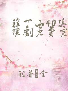 薛丁山40集电视剧免费完整版