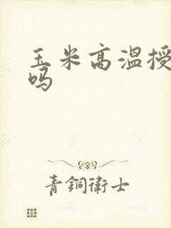 玉米高温授粉行吗