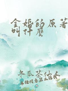 金婚的原著小说叫什么