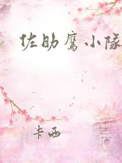 佐助鹰小队图片