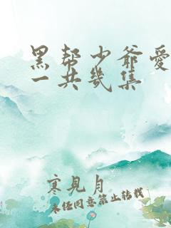 黑帮少爷爱上我一共几集