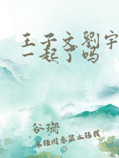 王子文刘宇宁在一起了吗