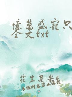 亿万盛宠只为你全文txt