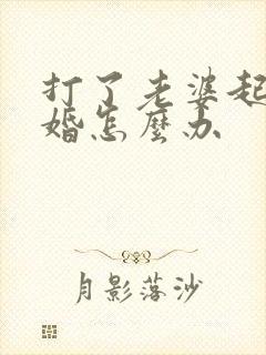 打了老婆起诉离婚怎么办
