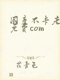 国产不卡老熟女免费com
