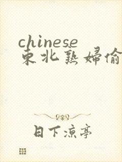 chinese东北熟妇偷拍hd