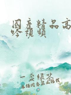 国产精品高潮呻吟视频