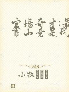 官场奇才:最强靠山竟是我自己李澜在线阅