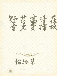 野花高清在线观看免费播放6