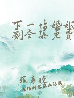 下一站婚姻电视剧全集免费观看高清