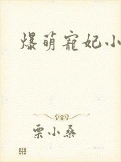 爆萌宠妃小说