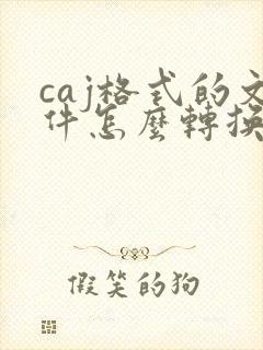 caj格式的文件怎么转换成pdf