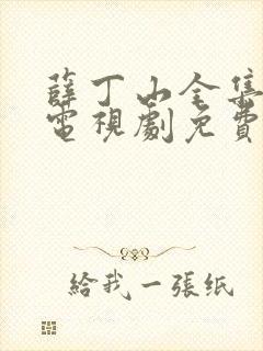 薛丁山全集40电视剧免费版