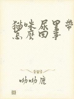 猫咪尿里带血是怎么回事