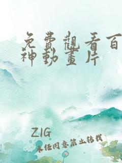 免费观看百炼成神动画片
