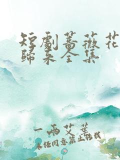 短剧蔷薇花谢即归来全集