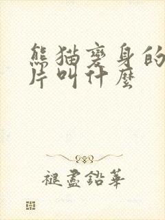 熊猫变身的动画片叫什么
