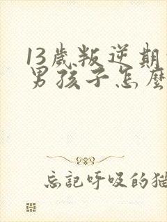 13岁叛逆期的男孩子怎么去引导
