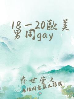18一20欧美男同gay